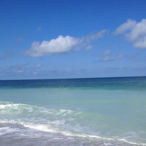 Meet your Posher, Kara